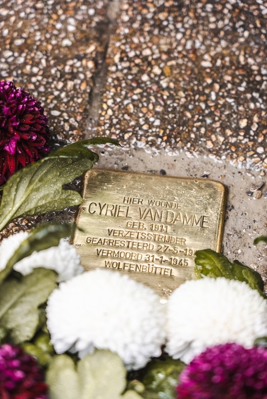Foto geplaatste struikelsteen Cyriel Van Damme klein (vergroot foto)