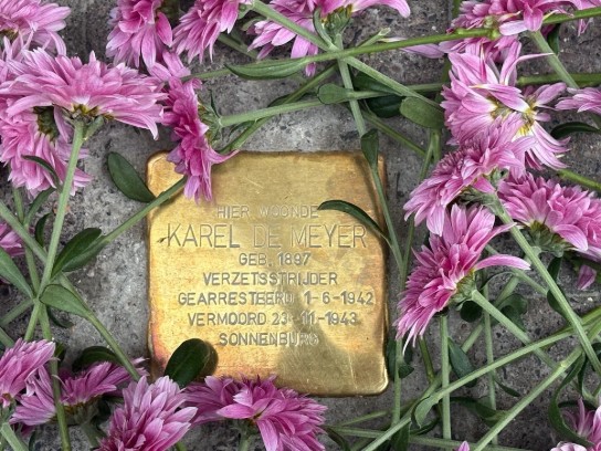 Foto struikelsteen Karel De Meyer 2 (vergroot foto)