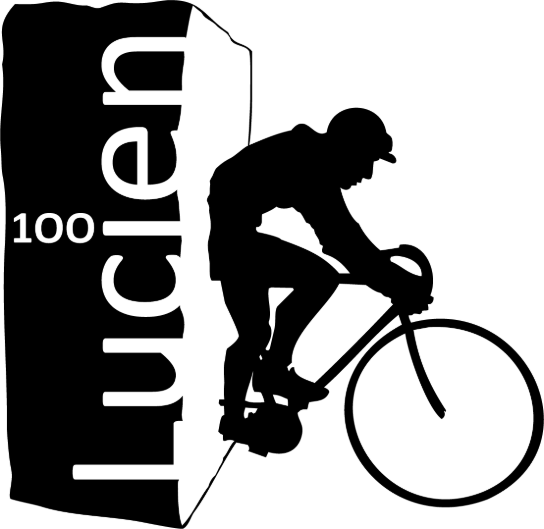 logo Buysse-i0226-zwart- Bewerkt (vergroot foto)