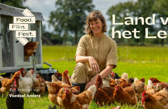(vergroot foto)