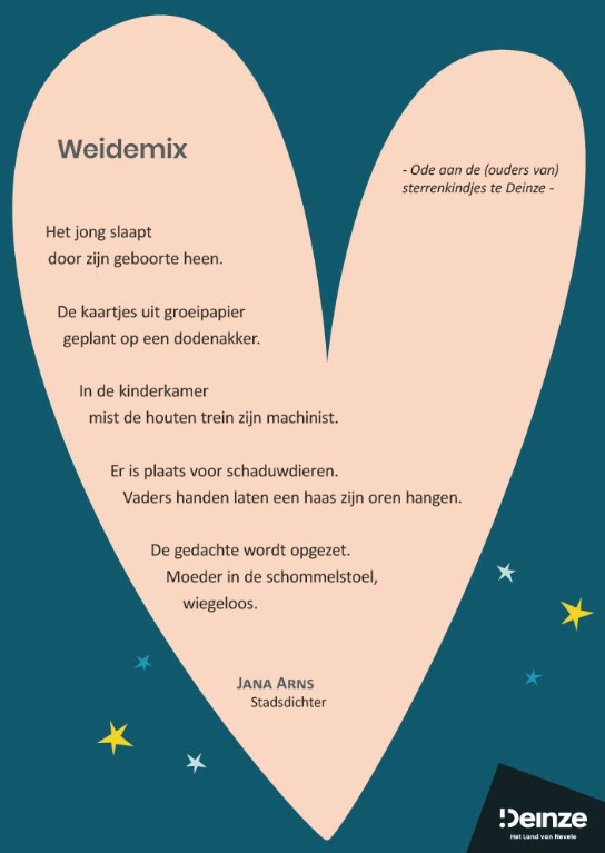 (vergroot foto)
