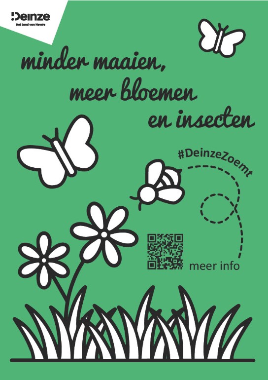 Groene poster met tekst over minder maaien, meer bloemen en insecten, met vlinders, bijen en bloemen. (vergroot foto)