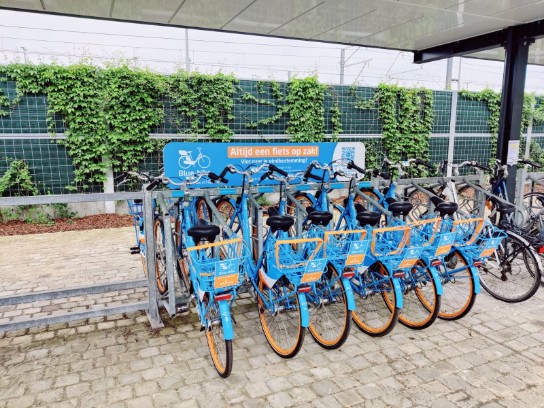 Fietsrek met meerdere blauwe deelfietsen onder een overkapping bij het station van Hansbeke. (vergroot foto)