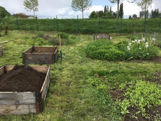 Voedselbos: foto met verhoogde houten plantenbakken, een schop in de grond en groene planten in een grasveld. (vergroot foto)